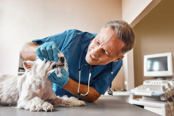 Dentist for Dental Trauma in WY